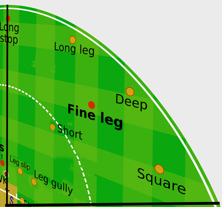 FINE LEG/ LONG LEG FIELDING POSITIONS IN CRICKET
