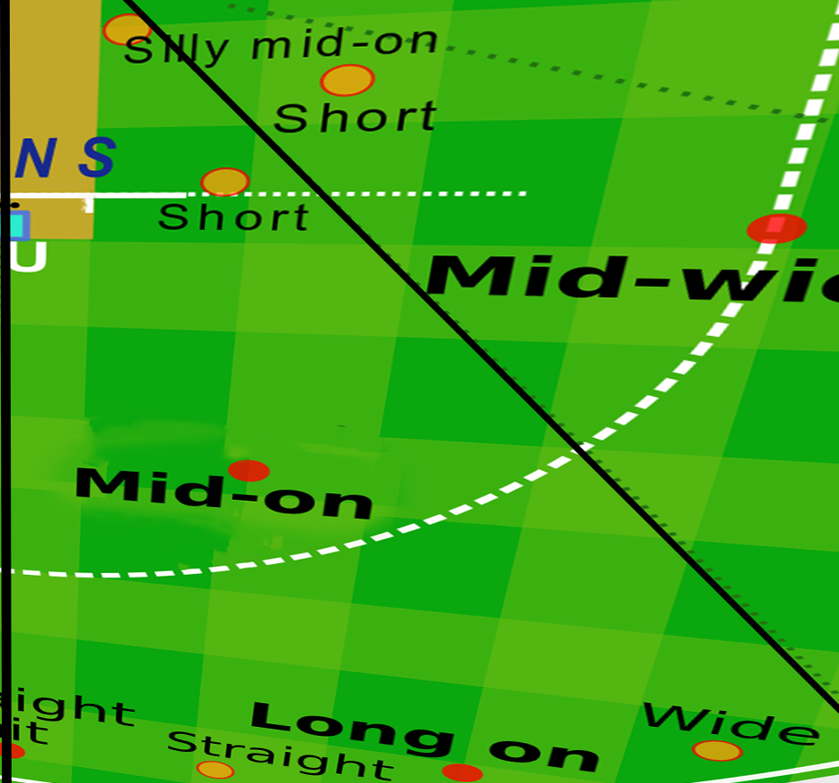 MID ON/LONG ON FIELDING POSITIONS IN CRICKET